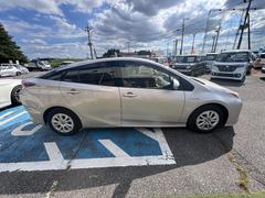 �ץꥦ�� �ӥ����եƥ��ץ饹���ʥӡ��ԣ֡��Хå�����顡�ţԣ� 0404193A20250918W005 5