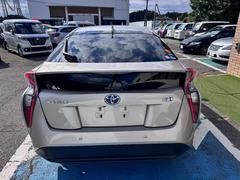 �ץꥦ�� �ӥ����եƥ��ץ饹���ʥӡ��ԣ֡��Хå�����顡�ţԣ� 0404193A20250918W005 7