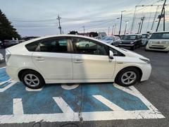 �ץꥦ�� �ǡ��ʥӡ��ԣ֡��ţԣá������ɥ�󥰥��ȥå� 0404193A20251106W004 5