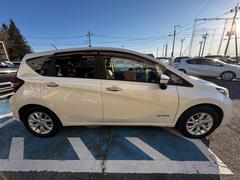 �Ρ��� ��ݥѥ������ꥹ�ȡ��ʥӡ��ԣ֡����롼������ȥ����� 0404193A30250706W006 5