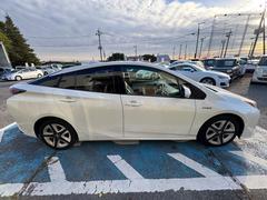 ץꥦ ӥġ󥰥쥯󡡥ʥӡԣ֡ţԣáɥ󥰥ȥå 0404193A30251112W001 5