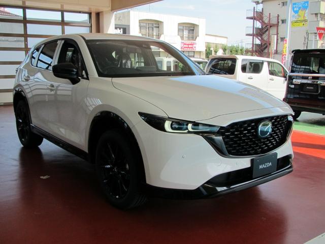 ＣＸ－５ ＸＤ　レトロスポーツエディション　特別仕様車　試乗車ＵＰ　専用エクステリア＆インテリア　ＳＫＹＡＣＴＩＶ－Ｄ２．２　アドバンスト・スマート・シティ・ブレーキ・サポート　運転席パワーシート　純正ナビゲーション　純正フロアマット　ＥＴＣ（9枚目）