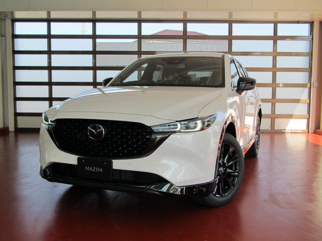 ＣＸ－５ ＸＤ　レトロスポーツエディション　特別仕様車　試乗車ＵＰ　専用エクステリア＆インテリア　ＳＫＹＡＣＴＩＶ－Ｄ２．２　アドバンスト・スマート・シティ・ブレーキ・サポート　運転席パワーシート　純正ナビゲーション　純正フロアマット　ＥＴＣ（10枚目）