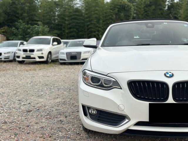 ２シリーズ ２２０ｉカブリオレ　スポーツ　ナビ　バックカメラ　ＥＴＣ　　　革シート　シートヒーター　ドラレコ（65枚目）