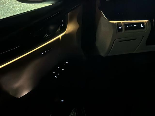 キャデラックＸＴＳ プラチナム　パノラマサンルーフ　左ハンドル　純正ナビ　シートヒーター、クーラー　Ｂｌｕｅｔｏｏｔｈ付　オートクルーズコントロール（67枚目）