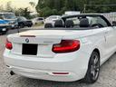 ２２０ｉカブリオレ　スポーツ　ナビ　バックカメラ　ＥＴＣ　　　革シート　シートヒーター　ドラレコ（47枚目）