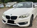 ２２０ｉカブリオレ　スポーツ　ナビ　バックカメラ　ＥＴＣ　　　革シート　シートヒーター　ドラレコ（53枚目）