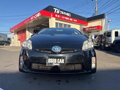 �ץꥦ�� �ӥġ���󥰥��쥯����󡡼ָ���ǯ���������ա����Ե�Υ��������̤���������ӣĥʥӡ��ϥǥ� 0404241A30251226W001 2