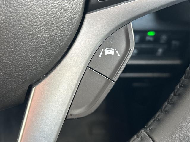 ハスラー タフワイルド　ドライブレコーダー　ナビ　ＴＶ　クリアランスソナー　オートクルーズコントロール　レーンアシスト　衝突被害軽減システム　オートライト　ＬＥＤヘッドランプ　スマートキー　アイドリングストップ（49枚目）