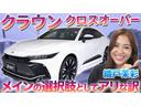 ＲＳアドバンスド　モデリスタエアロ・サンルーフ・パノラミックビュー全周囲カメラ・自動駐車・後席パワーシート・後席シートヒーター・後席電動サンシェード・デジタルインナーミラー・ＴＶキャンセラー・寒冷地仕様・禁煙車（18枚目）