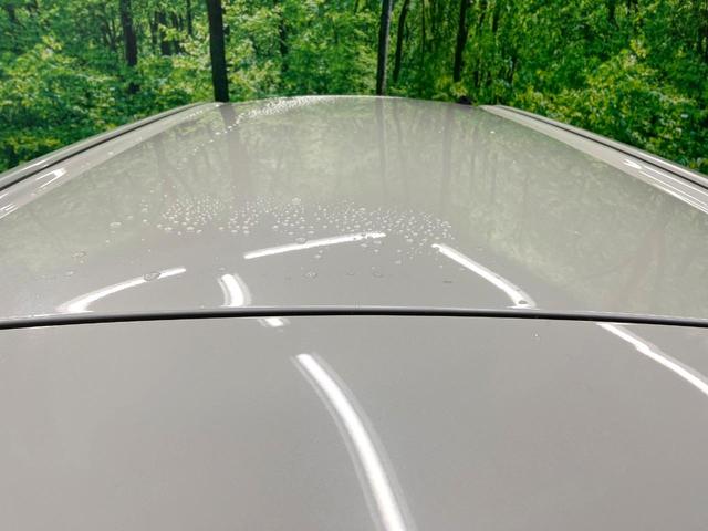 ムーヴキャンバス Gメイクアップ SAIII 両側電動ドア 純正SDナビ 全周囲カメラ 衝突被害軽減システム 禁煙車 ドラレコ スマートキー LEDヘッド オートエアコン Bluetooth DVD再生 フルセグ LEDフォグ(41枚目)