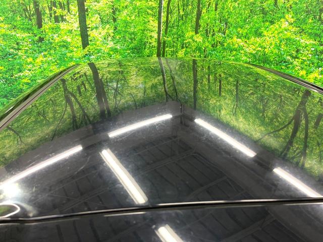 デイズ Ｓ　純正ＳＤナビ　バックカメラ　ＨＩＤヘッド　ＣＤ　ＤＶＤ再生　フルセグ（31枚目）