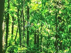 �ڥإåɥ��åץǥ����ץ쥤�۸��ߤ�®�٤����Ծ����ǥ�����ɽ���Ǳ�ž�������Υ��饹����ơ���ž�桢�����򤺤餵��ɬ�פʾ�����ǧ�Ǥ���ΤǤȤäƤ������ǰ¿��� 7