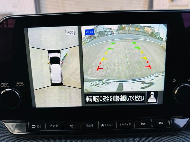 サクラ Ｇ（20枚目）