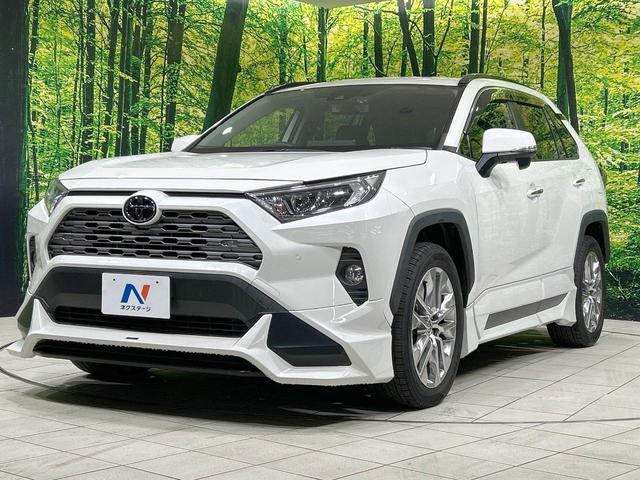 ＲＡＶ４ Ｇ　Ｚパッケージ　４ＷＤ　ＴＲＤエアロ　バックカメラ　セーフティセンス　レーダークルーズ　禁煙車　電動リアゲート　レザーシート　シートヒーター　パワーシート　スマートキー　ＬＥＤヘッド　デジタルインナーミラー（24枚目）