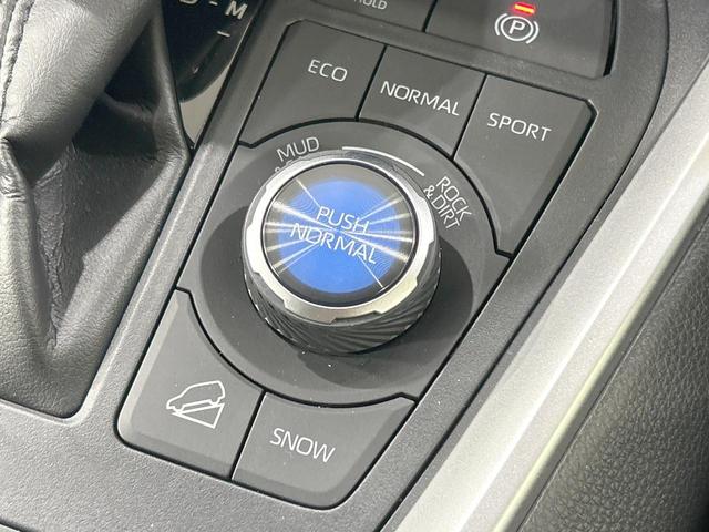 ＲＡＶ４ Ｇ　Ｚパッケージ　４ＷＤ　ＴＲＤエアロ　バックカメラ　セーフティセンス　レーダークルーズ　禁煙車　電動リアゲート　レザーシート　シートヒーター　パワーシート　スマートキー　ＬＥＤヘッド　デジタルインナーミラー（35枚目）
