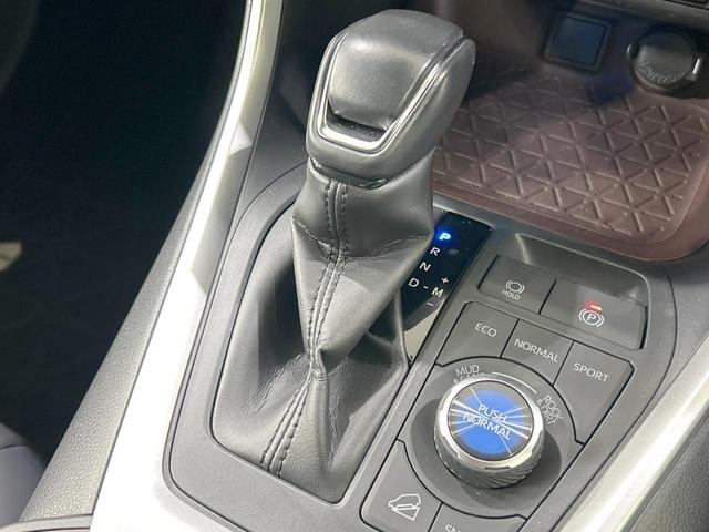 ＲＡＶ４ Ｇ　Ｚパッケージ　４ＷＤ　ＴＲＤエアロ　バックカメラ　セーフティセンス　レーダークルーズ　禁煙車　電動リアゲート　レザーシート　シートヒーター　パワーシート　スマートキー　ＬＥＤヘッド　デジタルインナーミラー（49枚目）