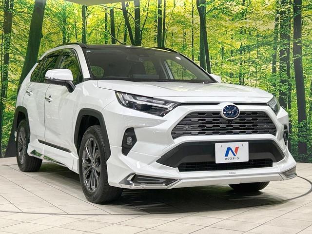 ＲＡＶ４ ハイブリッドＧ　４ＷＤ　サンルーフ　モデリスタエアロ　純正１０．５型ディスプレイオーディオ　全周囲カメラ　セーフティセンス　レーダークルーズ　禁煙車　電動リアゲート　合皮シート　シートエアコン　パワーシート　ＥＴＣ（16枚目）