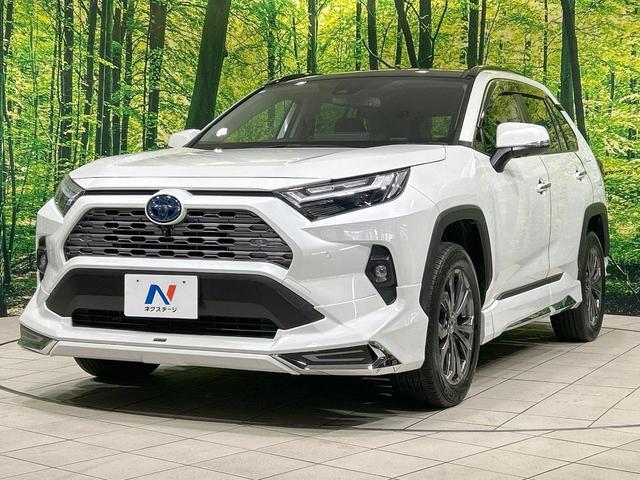 ＲＡＶ４ ハイブリッドＧ　４ＷＤ　サンルーフ　モデリスタエアロ　純正１０．５型ディスプレイオーディオ　全周囲カメラ　セーフティセンス　レーダークルーズ　禁煙車　電動リアゲート　合皮シート　シートエアコン　パワーシート　ＥＴＣ（24枚目）