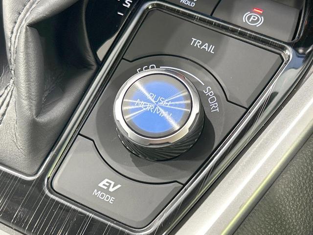 ＲＡＶ４ ハイブリッドＧ　４ＷＤ　サンルーフ　モデリスタエアロ　純正１０．５型ディスプレイオーディオ　全周囲カメラ　セーフティセンス　レーダークルーズ　禁煙車　電動リアゲート　合皮シート　シートエアコン　パワーシート　ＥＴＣ（48枚目）