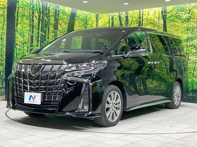 アルファード 2.5S タイプゴールドIII サンルーフ 純正9型ディスプレイ バックカメラ 両側電動ドア セーフティセンス レーダークルーズ ブラインドスポットモニター 禁煙車 ETC Bluetooth再生 電動リアゲート ハーフレザー(25枚目)