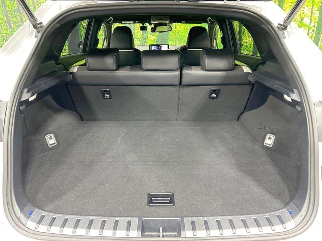 NX NX300h Fスポーツ 純正10型ナビ 全周囲カメラ AC100V電源 セーフティシステムプラス レーダークルーズ 禁煙 ハンズフリーパワーバックドア 専用革スポーツシート 前席シートベンチレーション メモリー付パワーシート(46枚目)