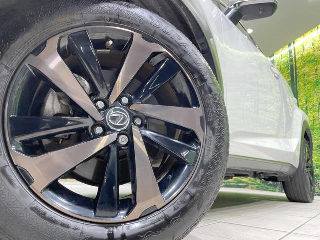 ＮＸ ＮＸ３００　バージョンＬ　ガラスルーフ　純正１０型ナビ　バックカメラ　プレミアムサウンドシステム　ＡＣ１００Ｖ電源　セーフティシステム　レーダークルーズ　禁煙車　パワーバックドア　本革シート　シートヒーター　パワーシート（13枚目）