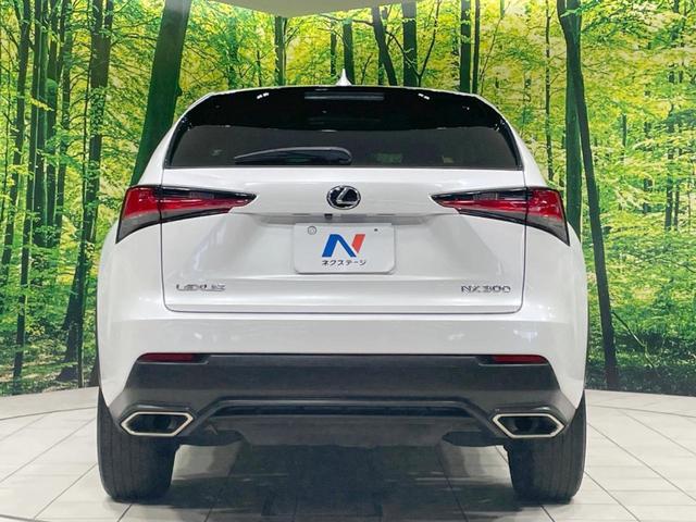 ＮＸ ＮＸ３００　バージョンＬ　ガラスルーフ　純正１０型ナビ　バックカメラ　プレミアムサウンドシステム　ＡＣ１００Ｖ電源　セーフティシステム　レーダークルーズ　禁煙車　パワーバックドア　本革シート　シートヒーター　パワーシート（15枚目）