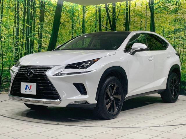 ＮＸ ＮＸ３００　バージョンＬ　ガラスルーフ　純正１０型ナビ　バックカメラ　プレミアムサウンドシステム　ＡＣ１００Ｖ電源　セーフティシステム　レーダークルーズ　禁煙車　パワーバックドア　本革シート　シートヒーター　パワーシート（24枚目）