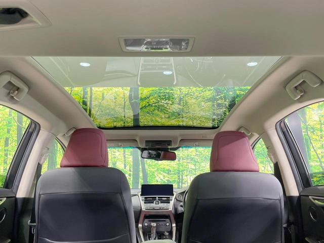 ＮＸ ＮＸ３００　バージョンＬ　ガラスルーフ　純正１０型ナビ　バックカメラ　プレミアムサウンドシステム　ＡＣ１００Ｖ電源　セーフティシステム　レーダークルーズ　禁煙車　パワーバックドア　本革シート　シートヒーター　パワーシート（51枚目）