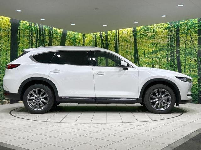 CX-8 25S Lパッケージ BOSEサウンド マツダコネクトナビ 全周囲カメラ シティブレーキサポート レーダークルーズ パワーバックドア レザーシート シートヒーター/エアコン コーナーセンサー ブラインドスポットモニター(28枚目)