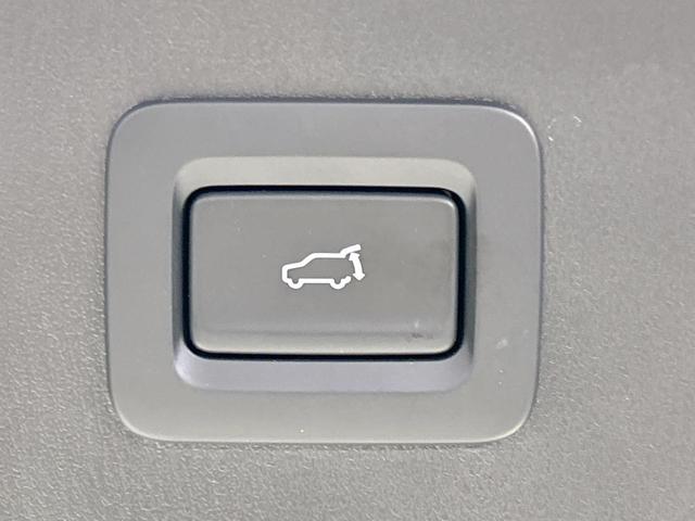 CX-8 25S Lパッケージ BOSEサウンド マツダコネクトナビ 全周囲カメラ シティブレーキサポート レーダークルーズ パワーバックドア レザーシート シートヒーター/エアコン コーナーセンサー ブラインドスポットモニター(37枚目)