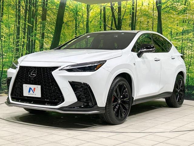 ＮＸ ＮＸ３５０ｈ　Ｆスポーツ　サンルーフ　純正１４型ナビ　全周囲カメラ　セーフティシステム　ブラインドスポットモニター　レーダークルーズ　禁煙車　３眼ＬＥＤヘッド　前席シートベンチレーション　デジタルインナーミラー　ＥＴＣ２．０（24枚目）