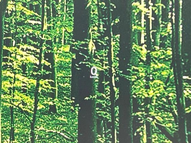 ＭＸ－３０ ベースグレード　純正８型ディスプレイ　バックカメラ　ｉ－アクディブセンス　レーダークルーズ　禁煙車　ＬＥＤヘッド　オートライト　Ｂｌｕｅｔｏｏｔｈ接続　デュアルオートエアコン　ＨＤＭＩ接続　純正１８インチＡＷ（7枚目）