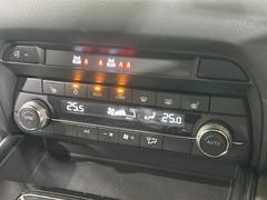 �����ʥ����ȥҡ������۴������˽������륷���ȥҡ���������ʤˤ������������������᤯���ޤäƤ����ΤǴ�����οͤ�¿��Ǥ��͢���������β����ϴ��礹�뤫���ꡢ�Ȥ������ˤ�򤪤�����Ǥ��� 6