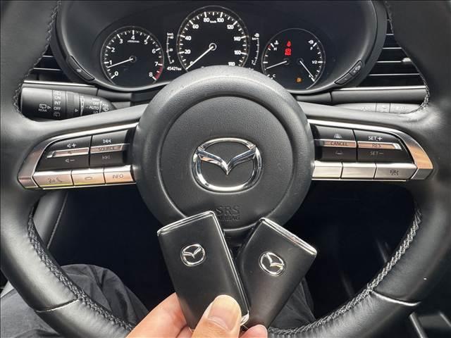 ＭＡＺＤＡ３ファストバック １５Ｓ　フルセグナビ　ＤＶＤ再生　ＢＴ　Ｂモニ　スマートＢ　追従クルコン　Ｃセンサー　ＨＵＤ　Ａホールド　電子Ｐ　スマキー　Ｐスタ　ＥＴＣ　ＬＥＤヘッド　Ａライト　Ａハイビーム　サイドエアＢ　ステリモ（18枚目）