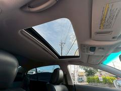 ǣ ǣӣ衡Сɡ桼֡롼ա쥶 0404417A30250620W001 2