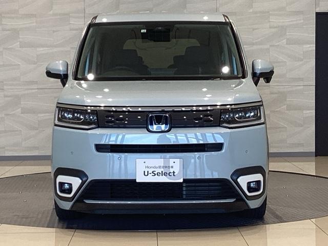 ステップワゴン e:HEVエアー 雹害(2枚目)