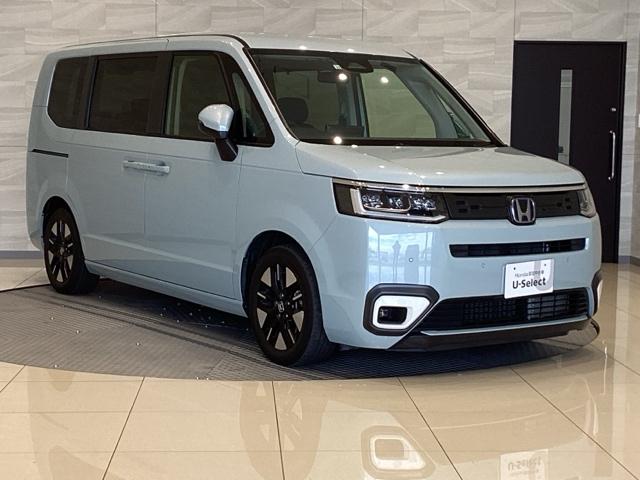 ステップワゴン e:HEVエアー 雹害(6枚目)