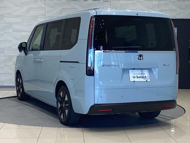 ステップワゴン e:HEVエアー 雹害(9枚目)