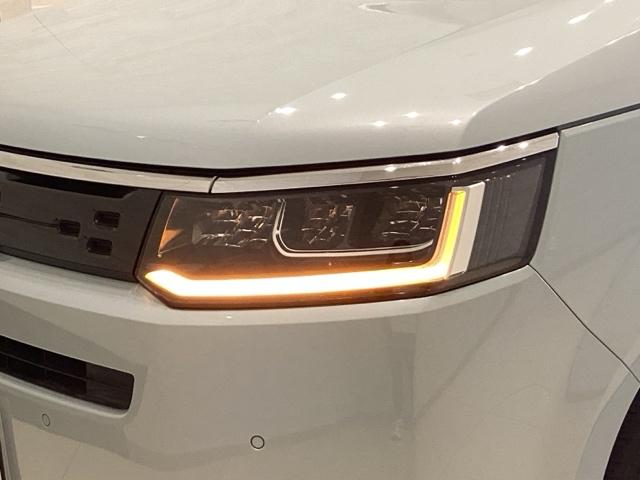 ステップワゴン e:HEVエアー 雹害(10枚目)