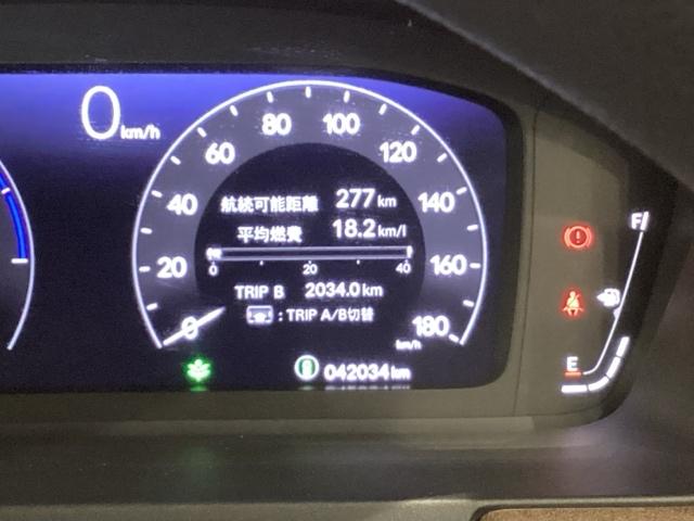 ステップワゴン e:HEVエアー 雹害(34枚目)