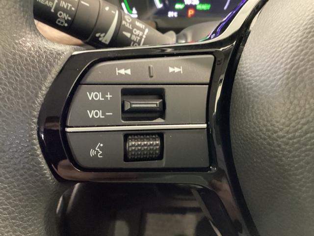 ステップワゴン e:HEVエアー 雹害(48枚目)