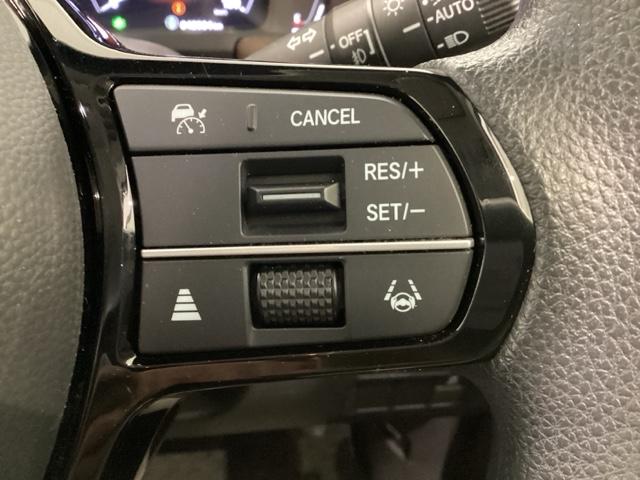 ステップワゴン e:HEVエアー 雹害(49枚目)