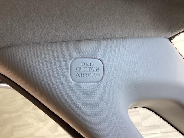 ステップワゴン e:HEVエアー 雹害(73枚目)