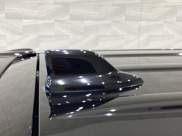 N-WGNカスタム L(15枚目)