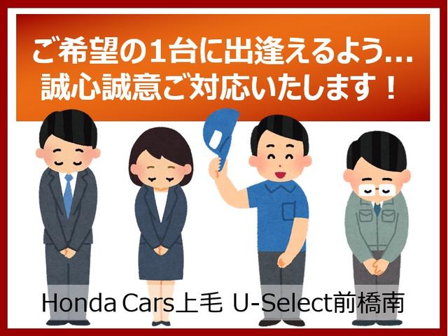 ステップワゴンスパーダ スパーダ（76枚目）