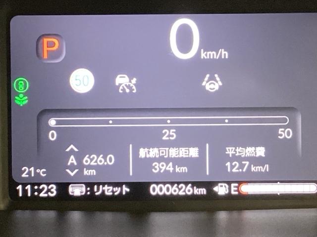 Ｎ－ＢＯＸカスタム スロープ（35枚目）