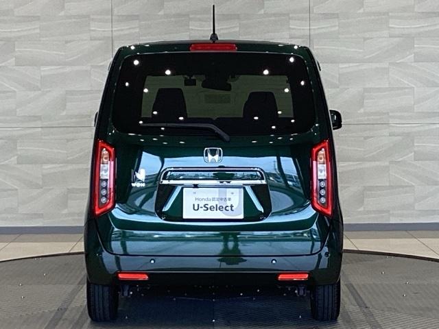 Ｎ－ＷＧＮ Ｌスタイル＋ビター（3枚目）