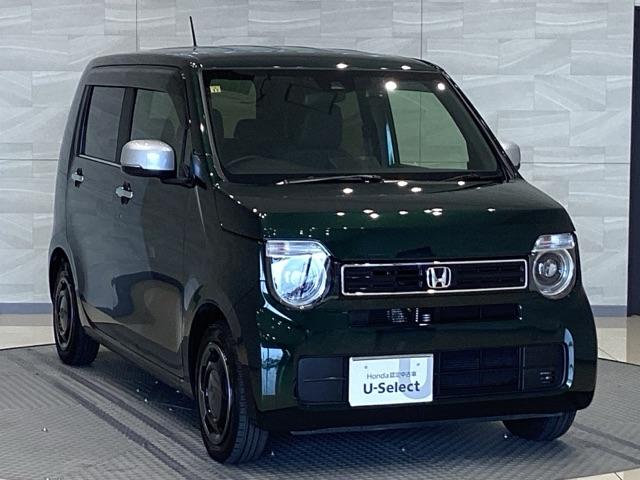 Ｎ－ＷＧＮ Ｌスタイル＋ビター（6枚目）